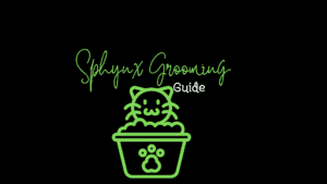 Sphynx Grooming Guide