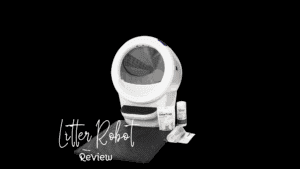 Litter Robot 4 Review