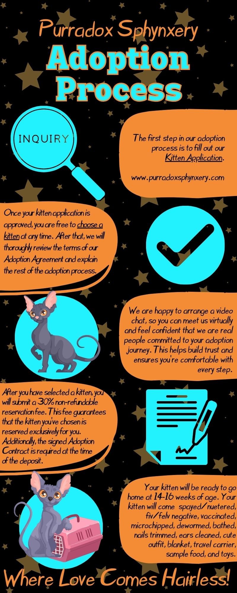 Purradox Sphynxery Adoption Process Infographic