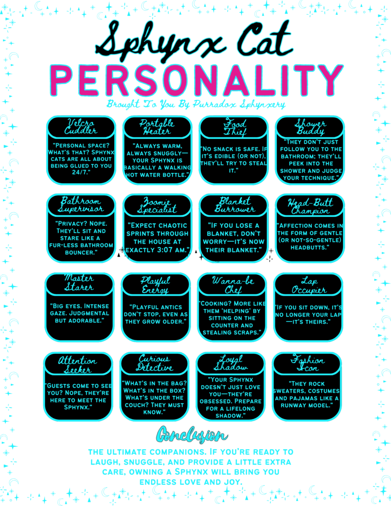 Sphynx Cat Personality Infographic