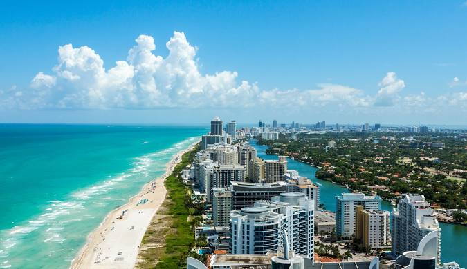 sphynx kittens for sale in Miami FL