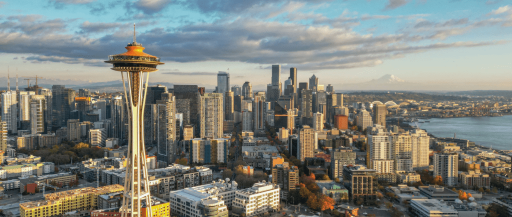 sphynx cats for sale in seattle, wa