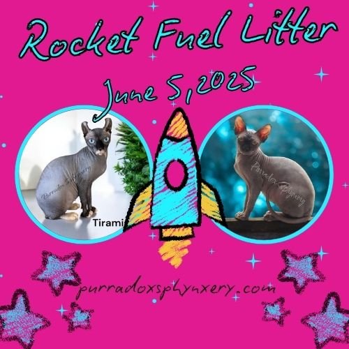 Rocket Fuel Litter