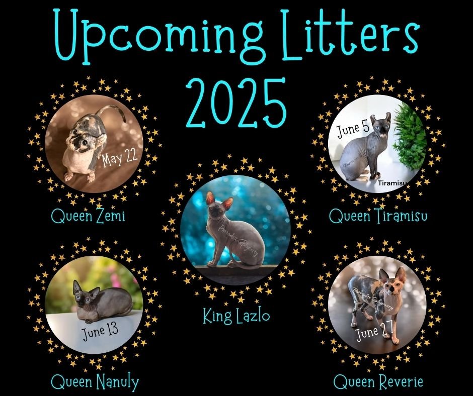 Join the Priority List