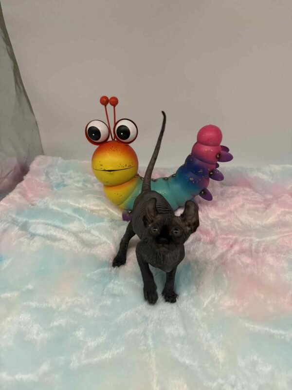 Aethera Black Elf Sphynx