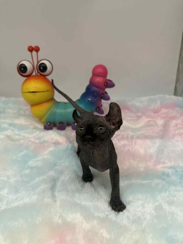 Aethera Black Elf Sphynx