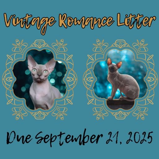 Vintage Romance Litter