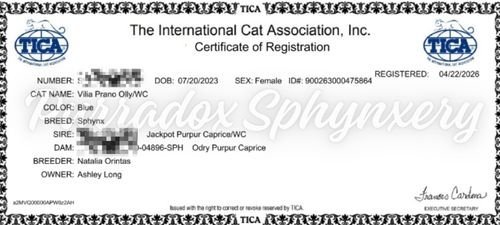 holly tica registration