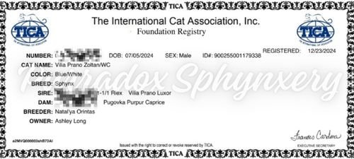 Zoltan TICA Certificate