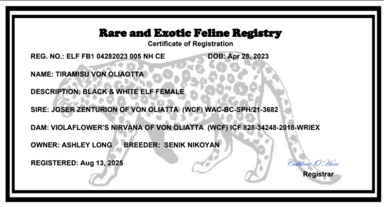 Tiramisu Cattery Registration