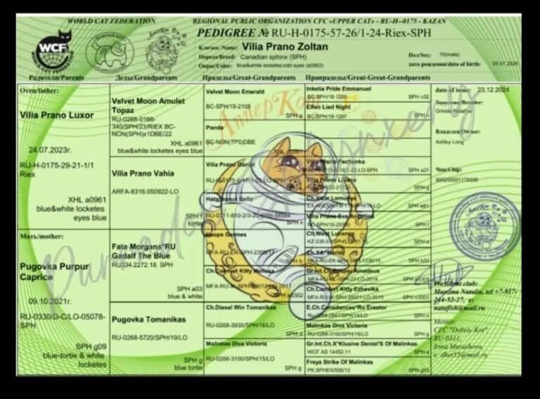 Zoltan Pedigree